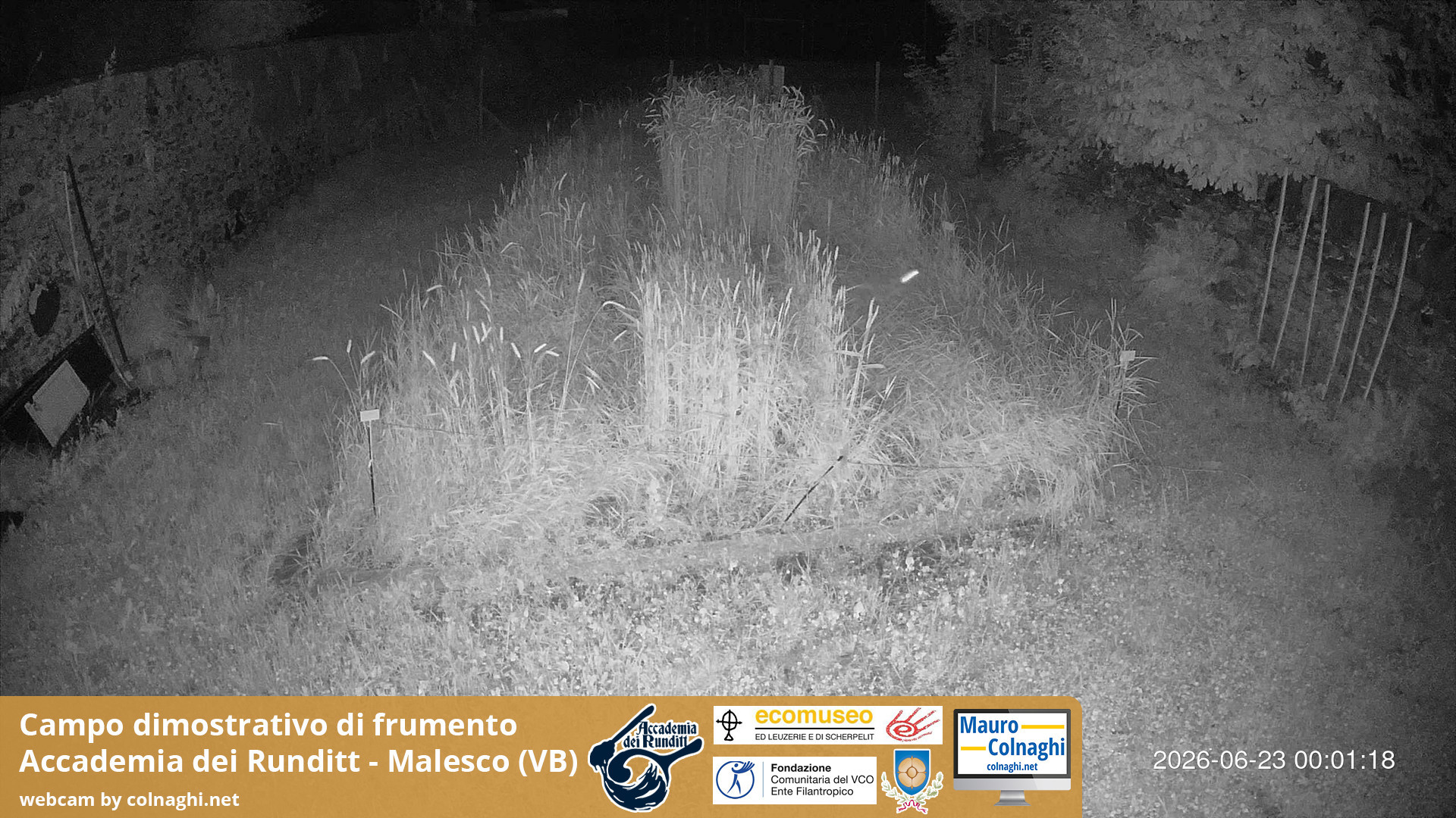 time-lapse frame, Grano webcam