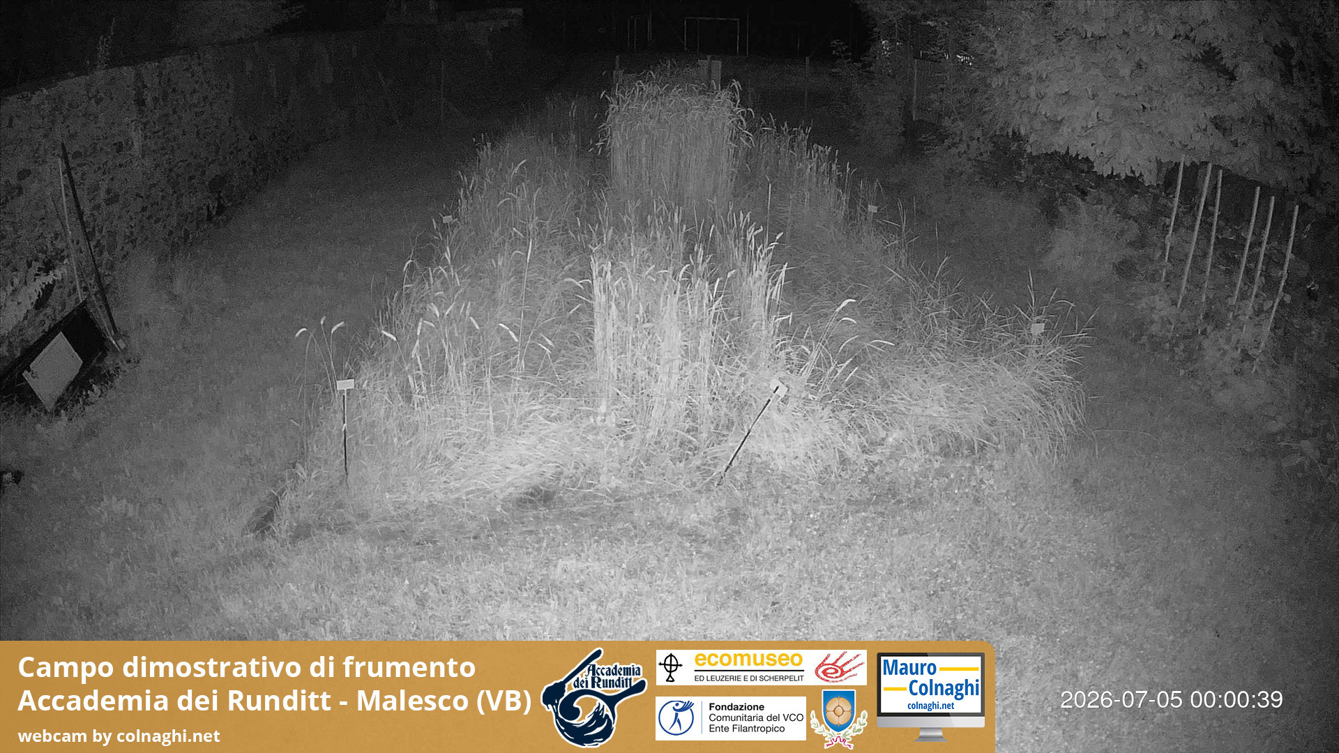 time-lapse frame, Grano webcam