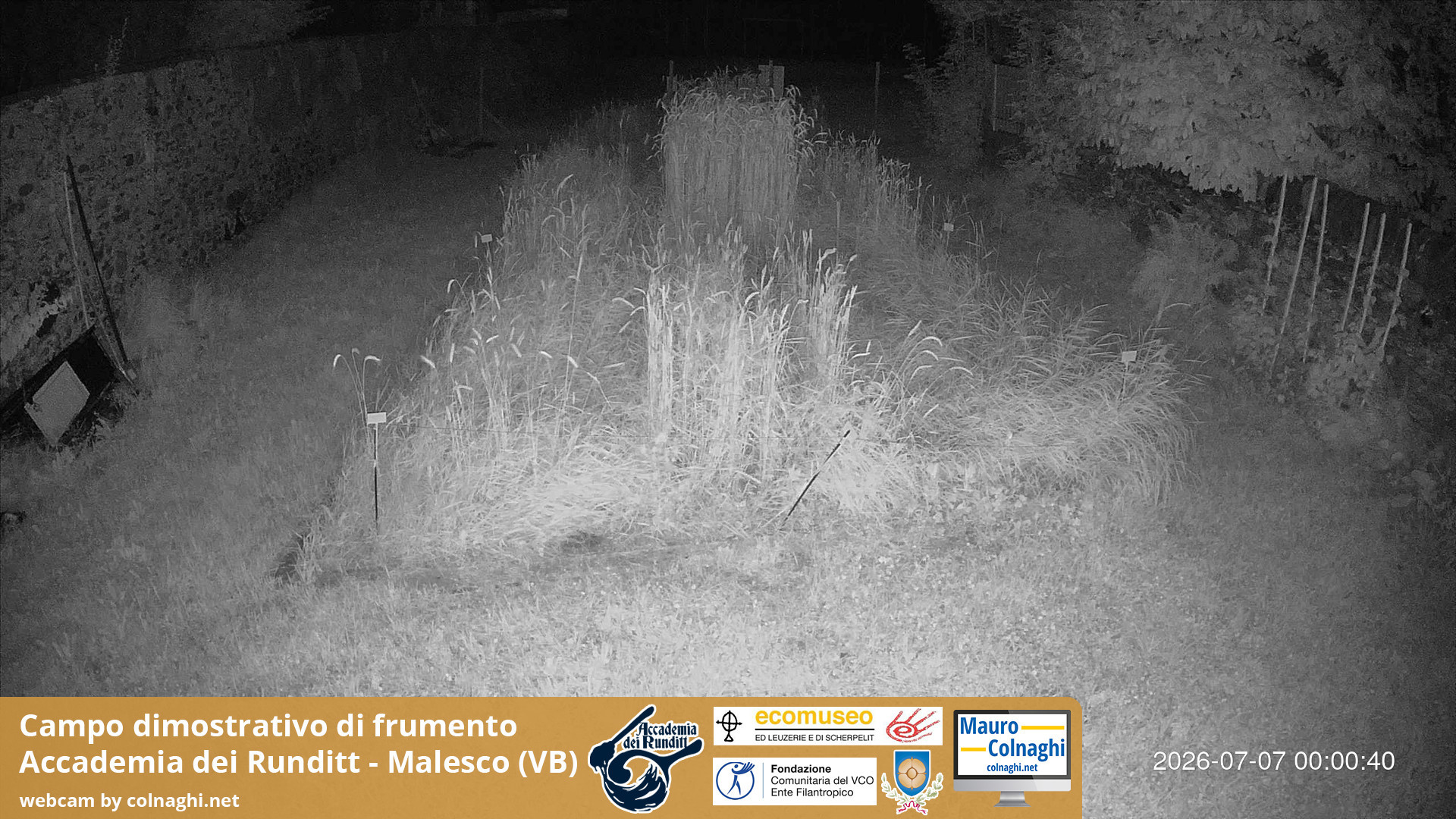 time-lapse frame, Grano webcam