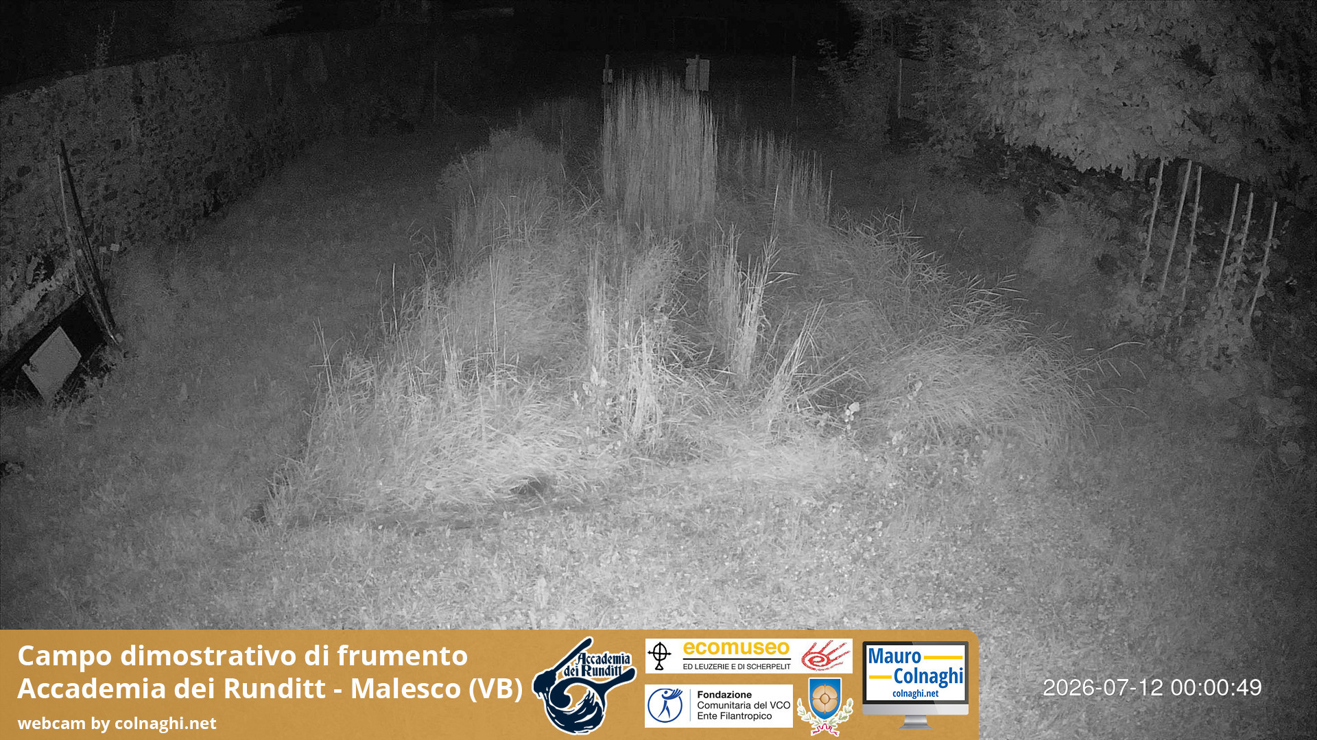 time-lapse frame, Grano webcam