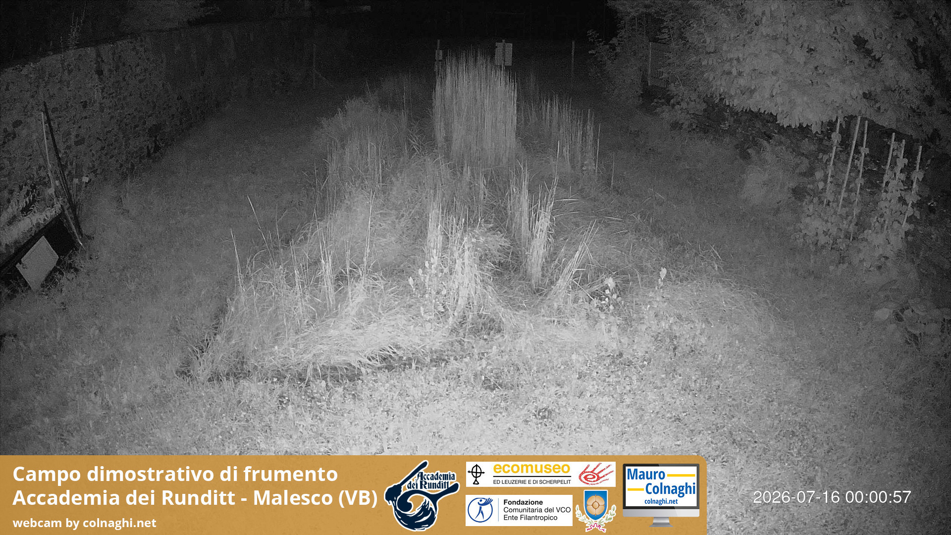 time-lapse frame, Grano webcam