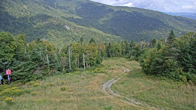 Sugarbush Gadd Pe... animated GIF