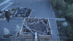 view from Sandpoint Online - Osprey Nest Time-lapse on 2026-04-26