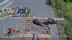 view from Sandpoint Online - Osprey Nest Time-lapse on 2026-04-29