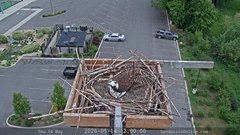 view from Sandpoint Online - Osprey Nest Time-lapse on 2026-05-14