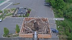 view from Sandpoint Online - Osprey Nest Time-lapse on 2026-05-19