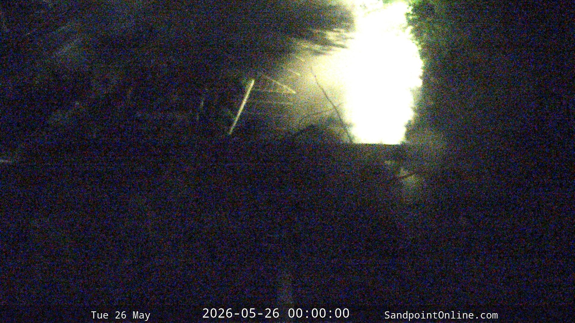 time-lapse frame, Sandpoint Online - Osprey Nest Time-lapse webcam