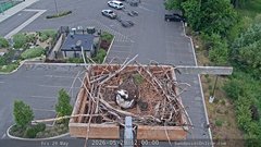 view from Sandpoint Online - Osprey Nest Time-lapse on 2026-05-29