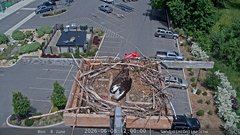view from Sandpoint Online - Osprey Nest Time-lapse on 2026-06-08