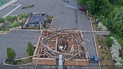 view from Sandpoint Online - Osprey Nest Time-lapse on 2026-06-10