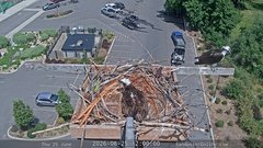 view from Sandpoint Online - Osprey Nest Time-lapse on 2026-06-25