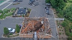 view from Sandpoint Online - Osprey Nest Time-lapse on 2026-07-03