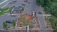 view from Sandpoint Online - Osprey Nest Time-lapse on 2026-07-14