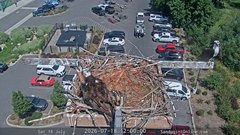 view from Sandpoint Online - Osprey Nest Time-lapse on 2026-07-18