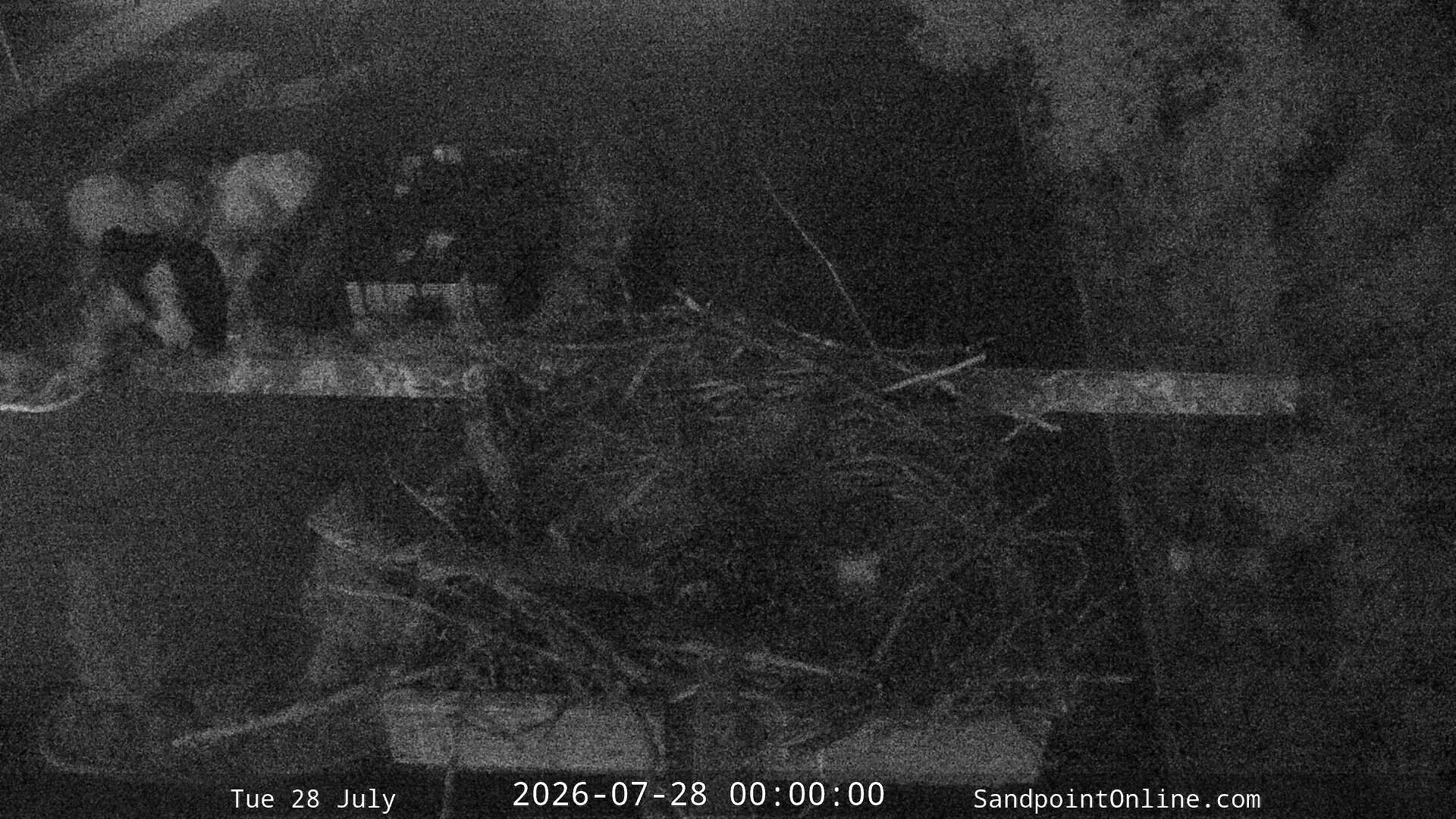 time-lapse frame, Sandpoint Online - Osprey Nest Time-lapse webcam