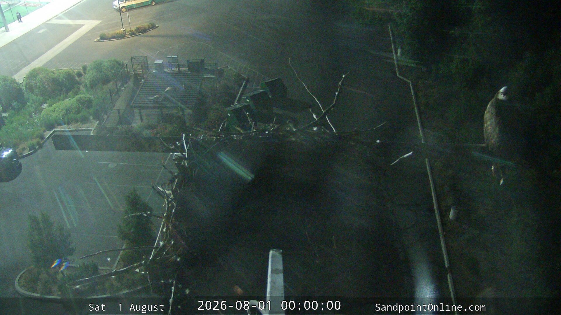 time-lapse frame, Sandpoint Online - Osprey Nest Time-lapse webcam