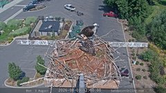 view from Sandpoint Online - Osprey Nest Time-lapse on 2026-08-03