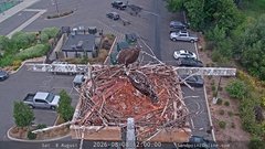 view from Sandpoint Online - Osprey Nest Time-lapse on 2026-08-08