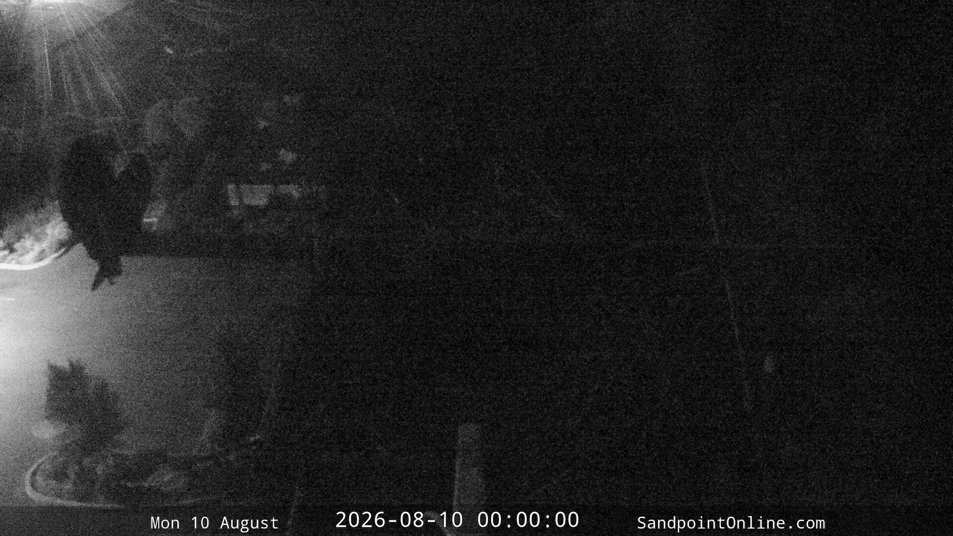 time-lapse frame, Sandpoint Online - Osprey Nest Time-lapse webcam