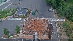 view from Sandpoint Online - Osprey Nest Time-lapse on 2026-08-13