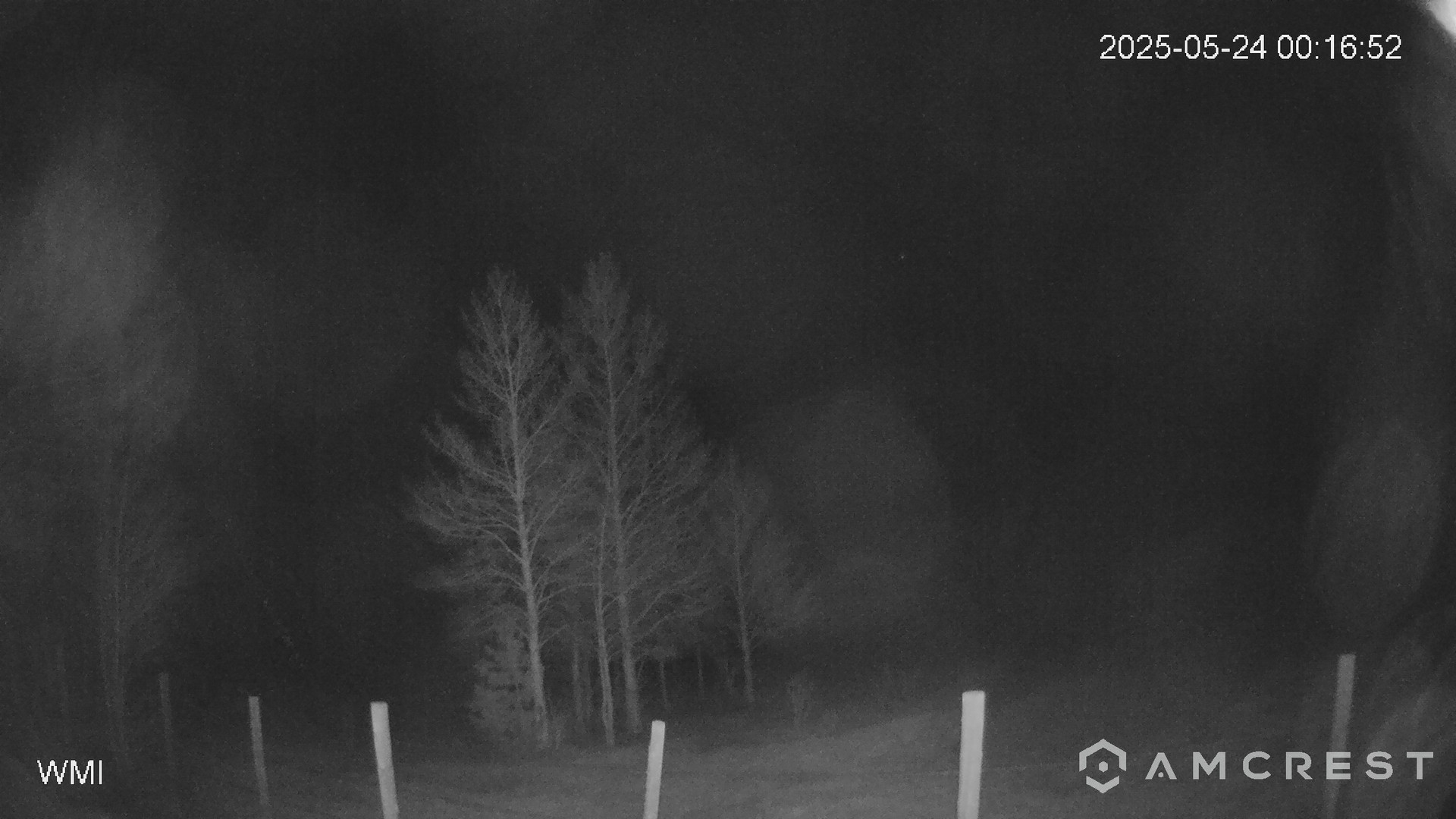 time-lapse frame, Never Summer Cam webcam