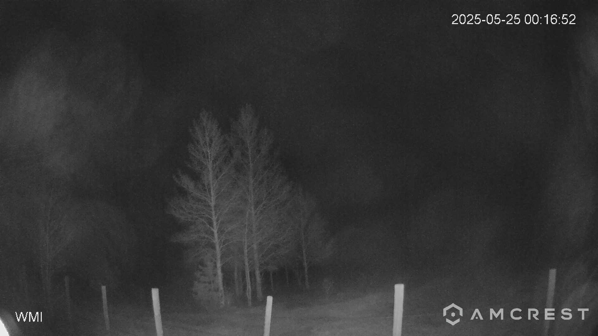 time-lapse frame, Never Summer Cam webcam