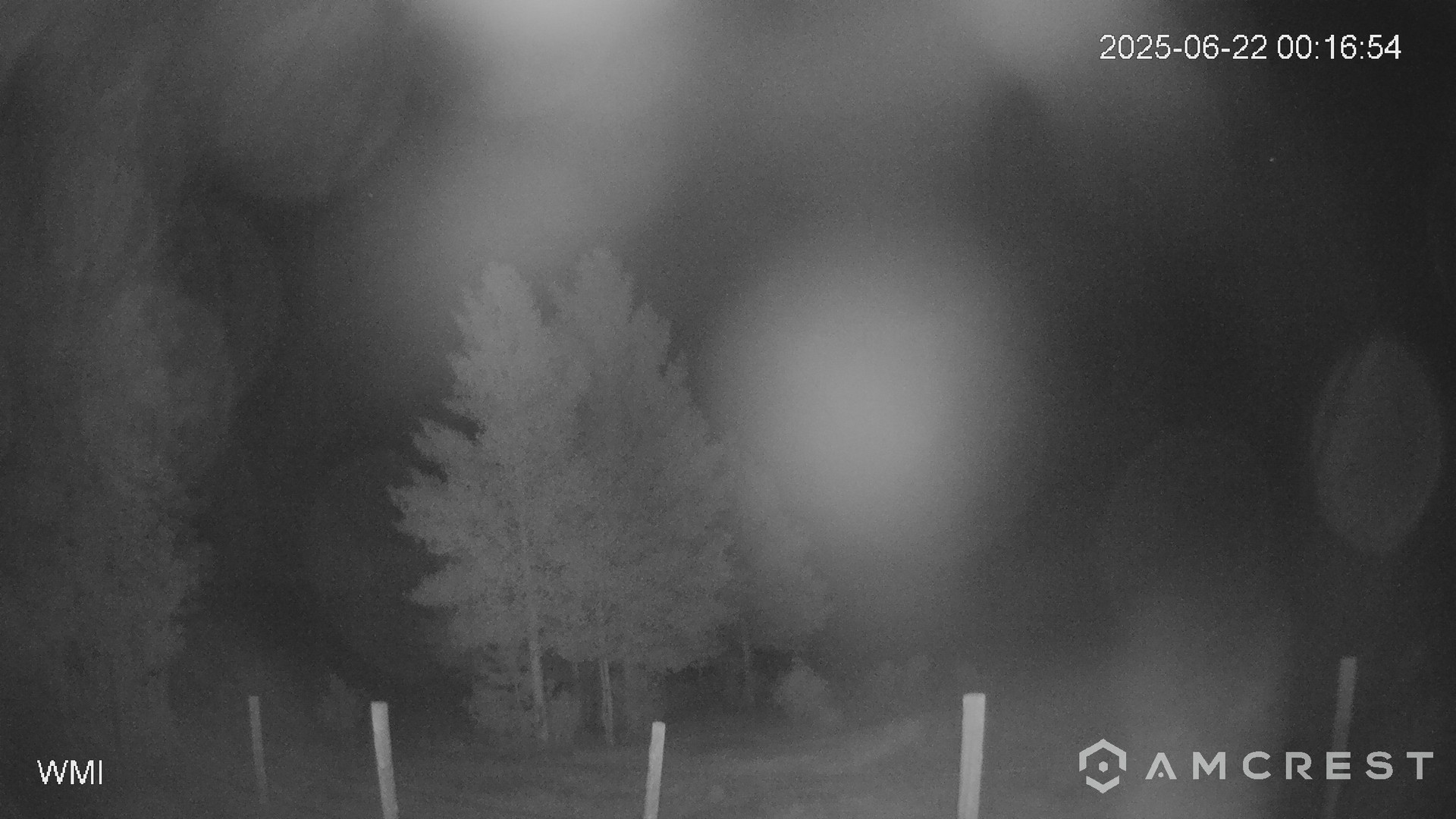 time-lapse frame, Never Summer Cam webcam