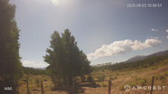 view from Never Summer Cam on 2025-08-03