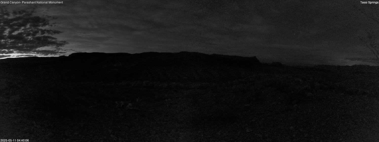 time-lapse frame, Tassi Springs webcam