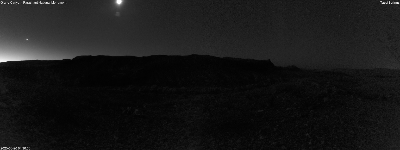 time-lapse frame, Tassi Springs webcam
