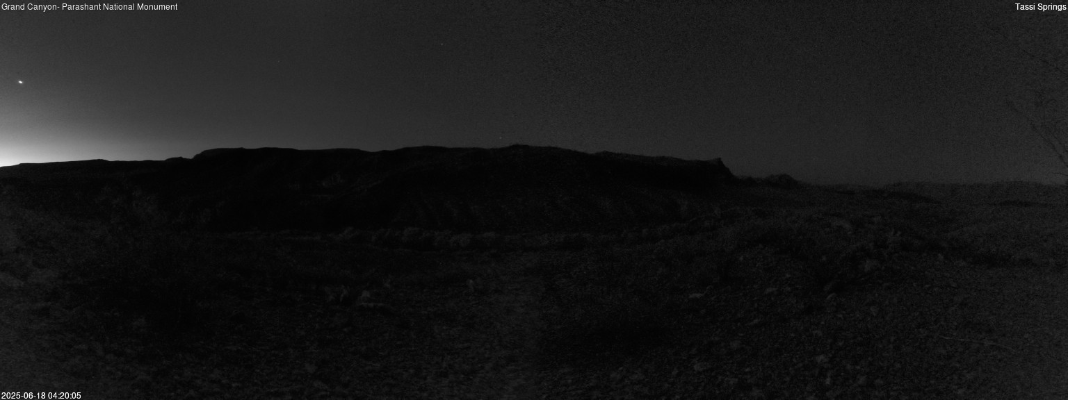 time-lapse frame, Tassi Springs webcam
