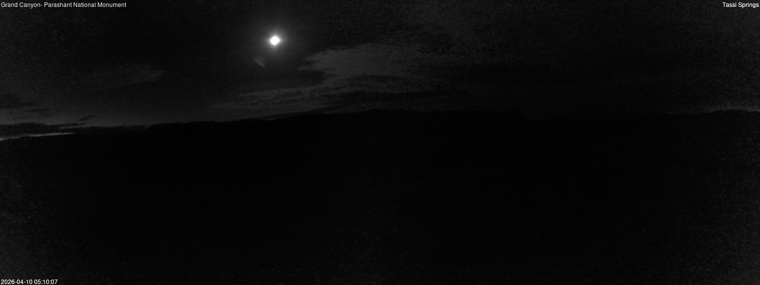 time-lapse frame, Tassi Springs webcam