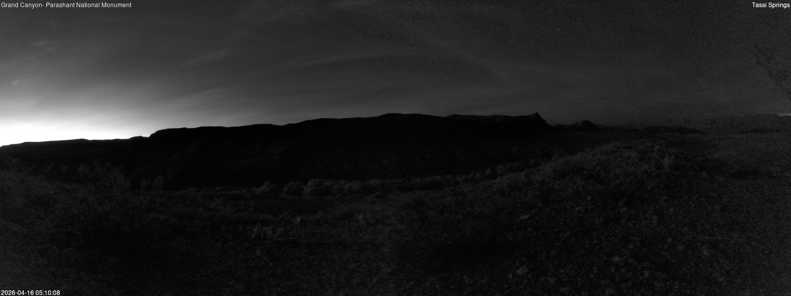 time-lapse frame, Tassi Springs webcam
