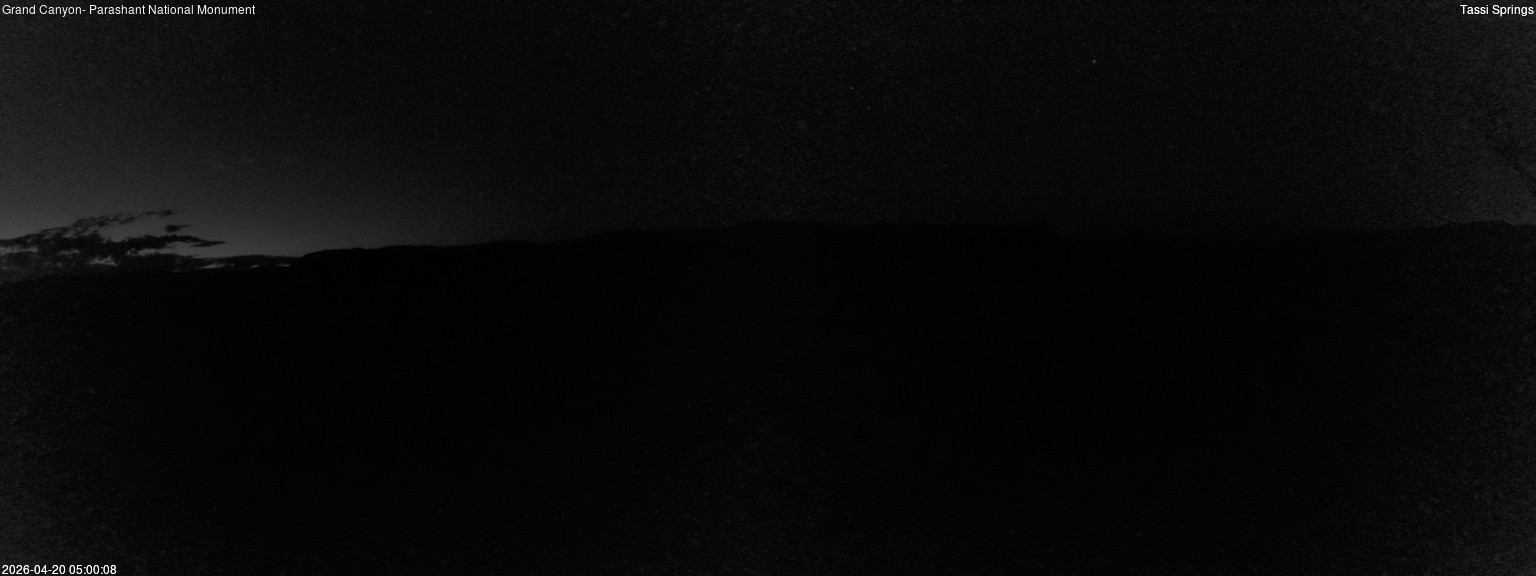 time-lapse frame, Tassi Springs webcam