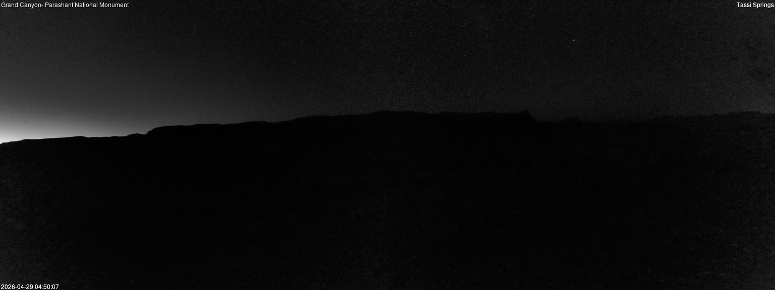 time-lapse frame, Tassi Springs webcam