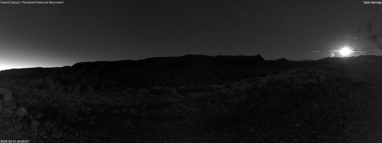 time-lapse frame, Tassi Springs webcam