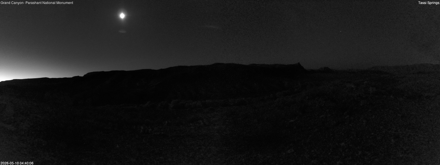 time-lapse frame, Tassi Springs webcam