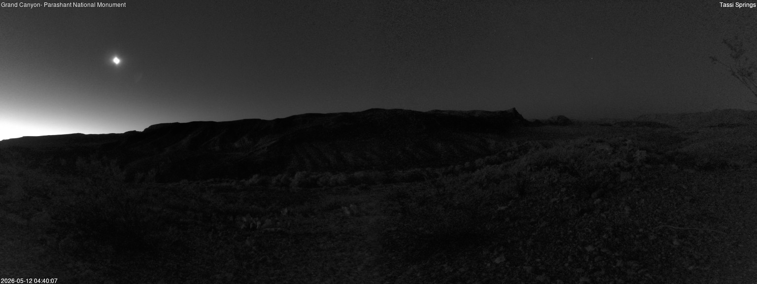 time-lapse frame, Tassi Springs webcam