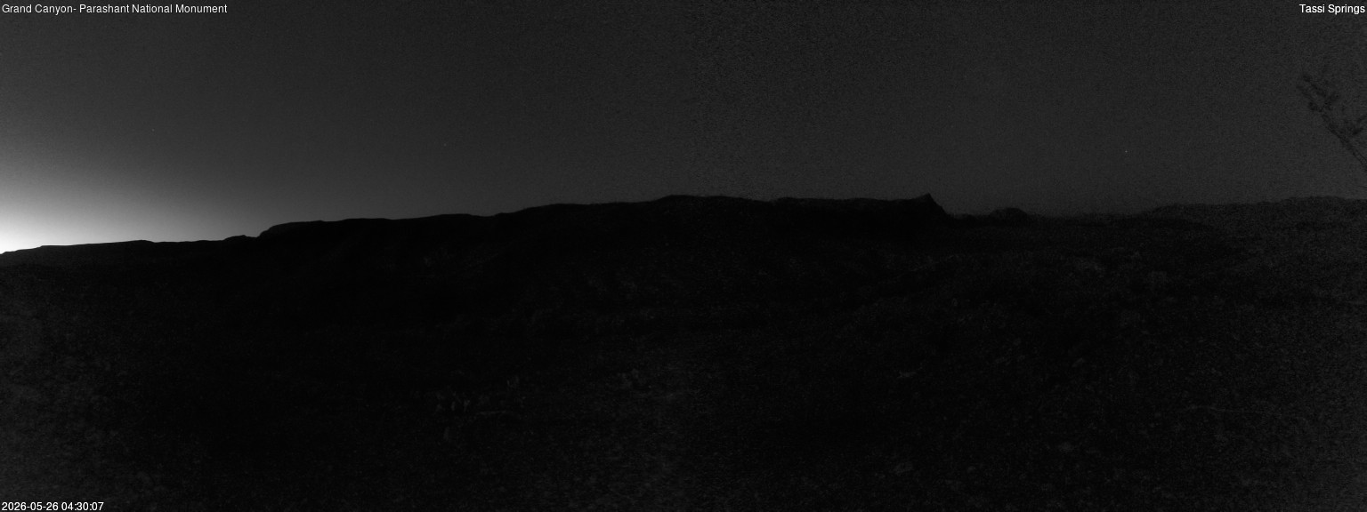 time-lapse frame, Tassi Springs webcam