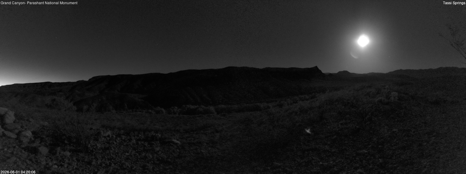 time-lapse frame, Tassi Springs webcam