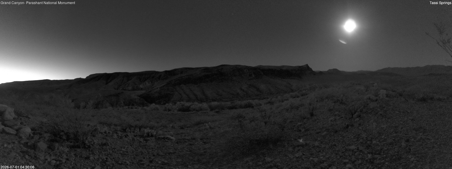 time-lapse frame, Tassi Springs webcam