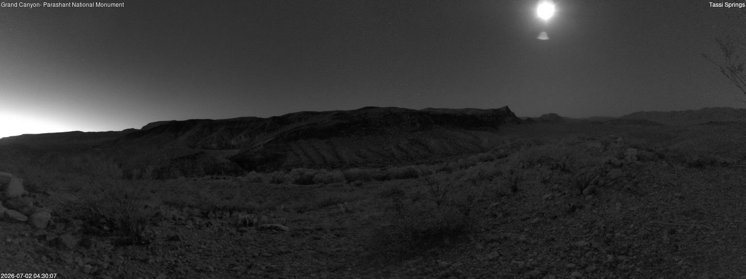 time-lapse frame, Tassi Springs webcam