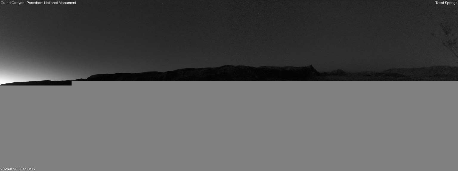 time-lapse frame, Tassi Springs webcam