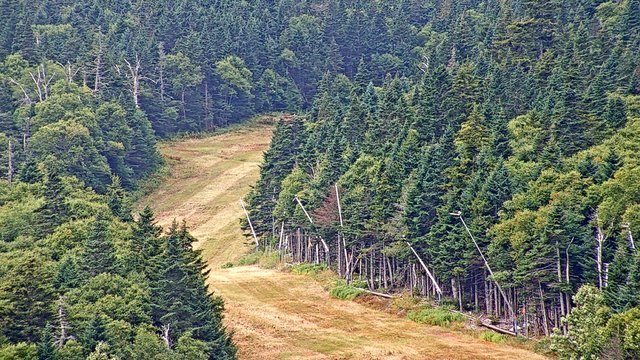 view from Sugarbush Walts Scenic on 2026-08-27