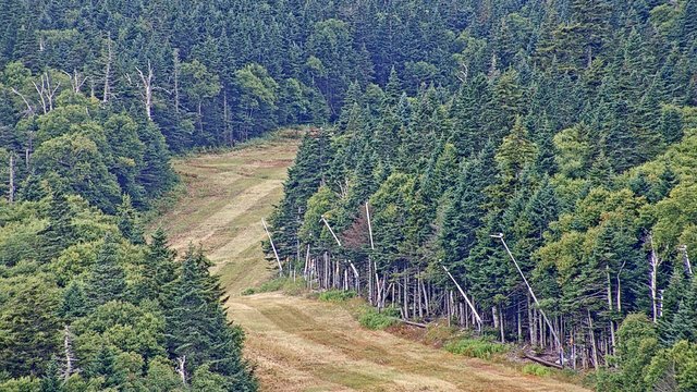 view from Sugarbush Walts Scenic on 2026-08-28