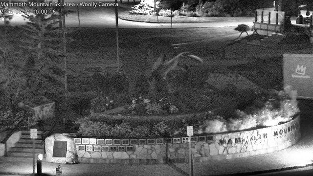 time-lapse frame, Mammoth Main Lodge Woolly webcam