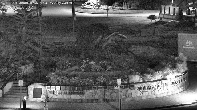 time-lapse frame, Mammoth Main Lodge Woolly webcam