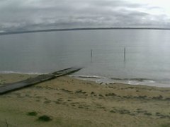 view from Cowes Yacht Club - North on 2025-08-08