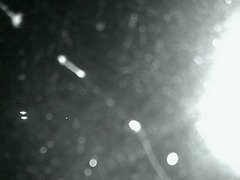 view from Cowes Yacht Club - North on 2026-04-19