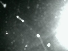 view from Cowes Yacht Club - North on 2026-04-19